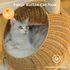 Catopia Co. Dinosaur-Shaped Cat Bed with 5 Sisal Scratching Posts