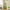 183cm Multi-Level Flower Cat Tree Large Cat Tower with Steel Frame Hammock and 7 Scratching Posts - Green
