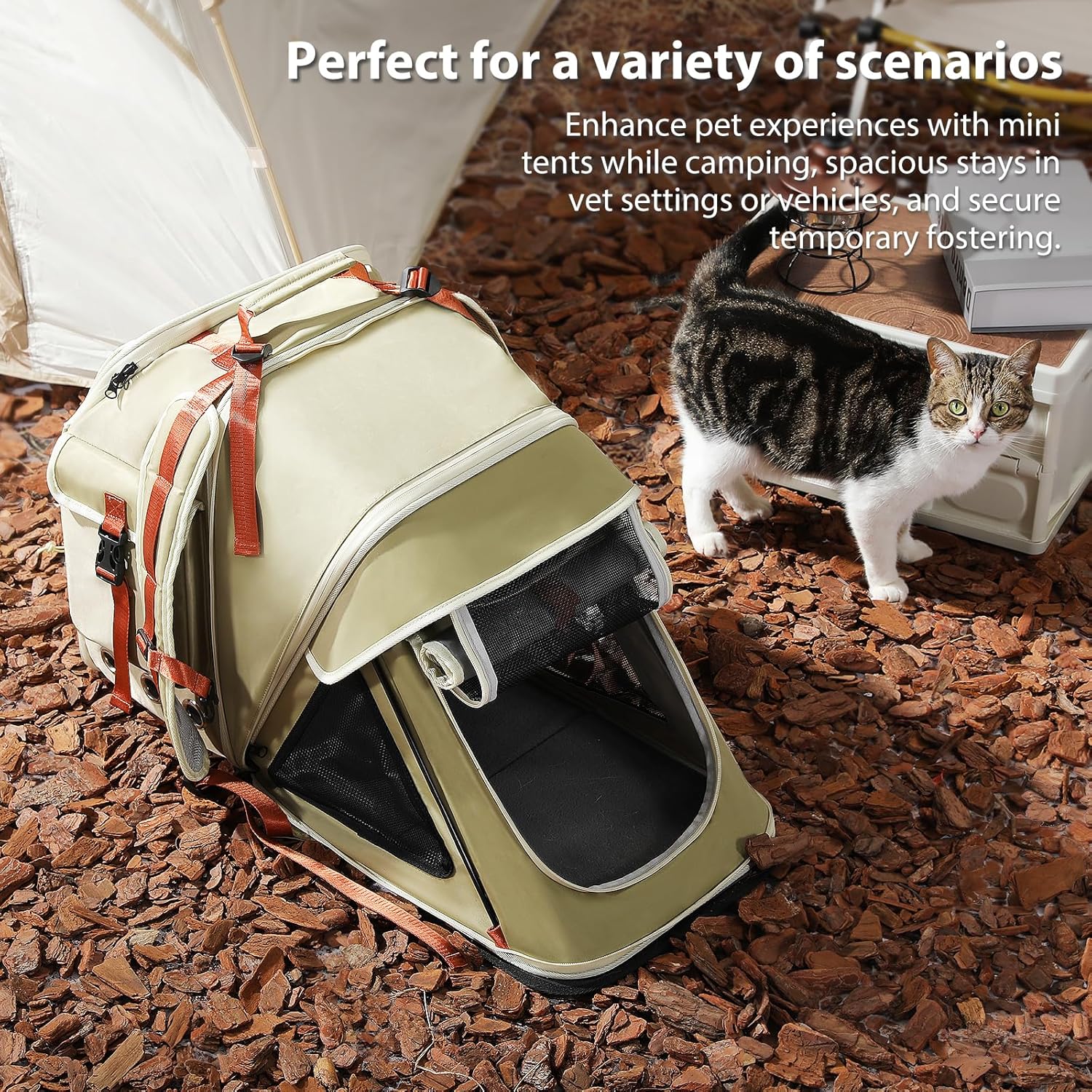 Catopia Co. Canada Pet backpack tent on the ground with a cat inside, surrounded by outdoor elements.