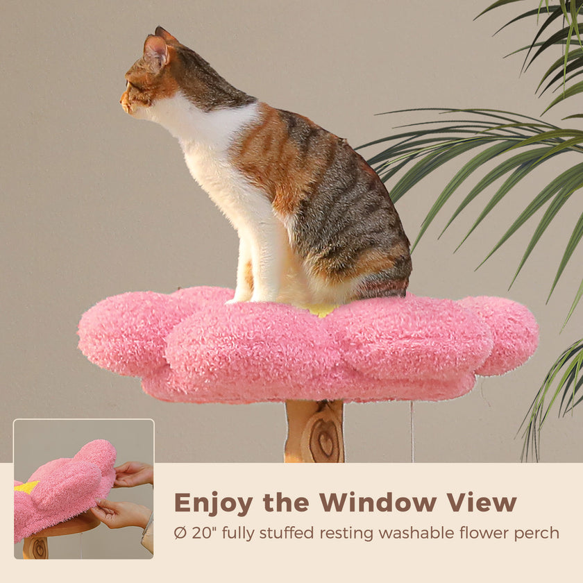 Cat resting on the removable pink flower-shaped top perch of a natural wood cat tree