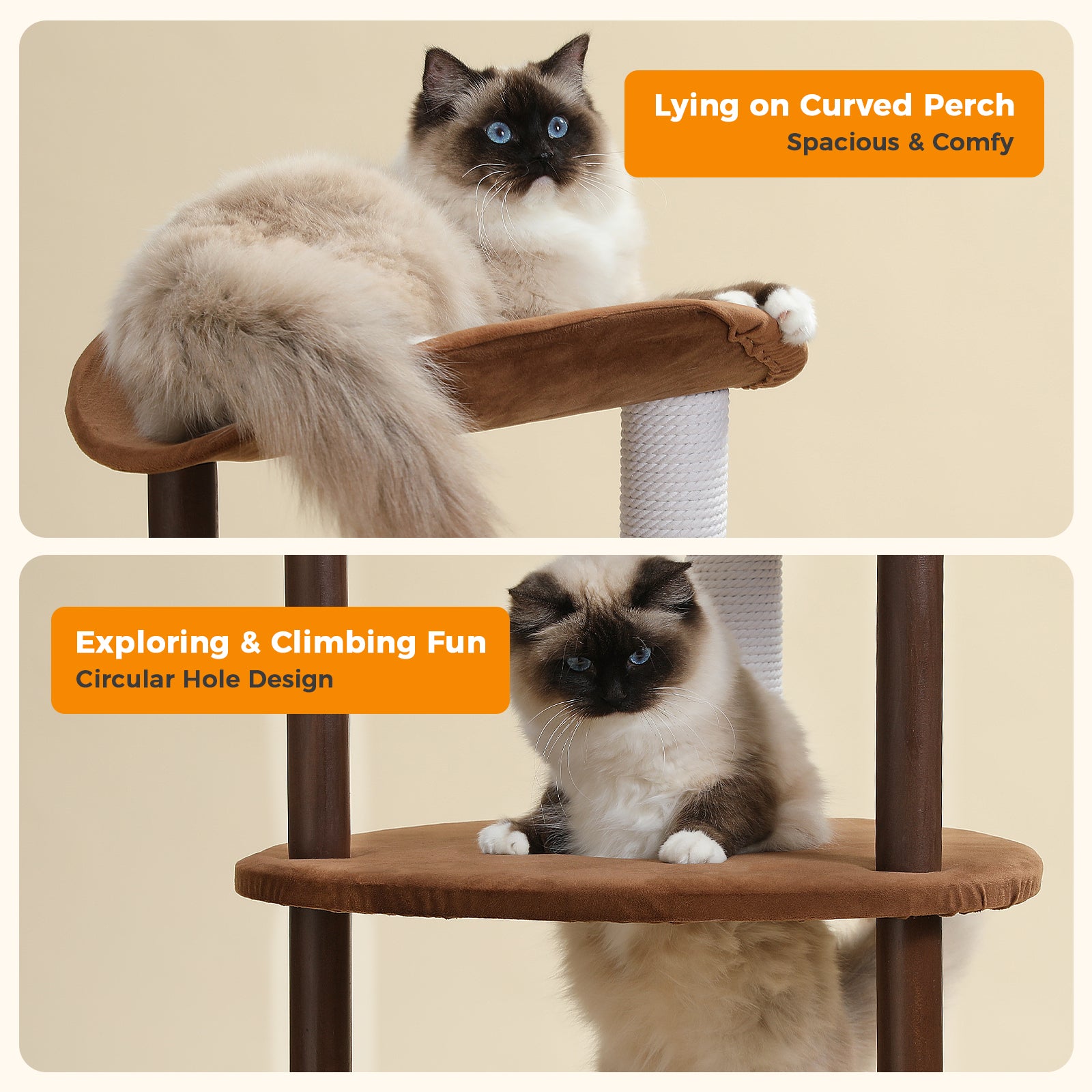 Natural Wood Multi-Level Cat Tower for Modern Homes – Catopia Co. Canada