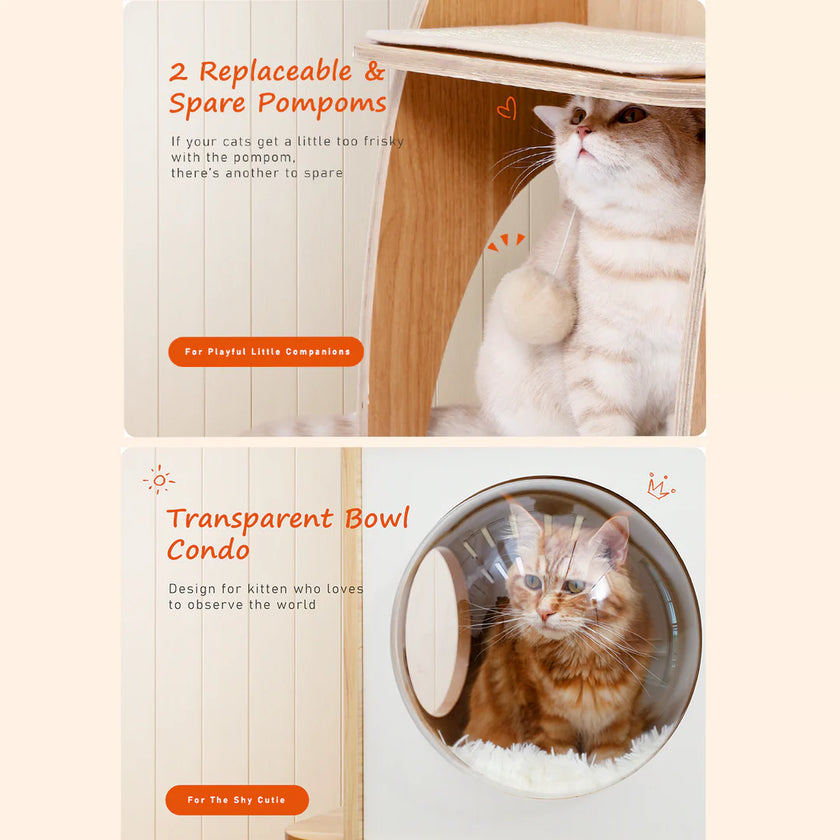 Two cat products: a transparent bowl condo and replaceable pompons, with text describing their features.