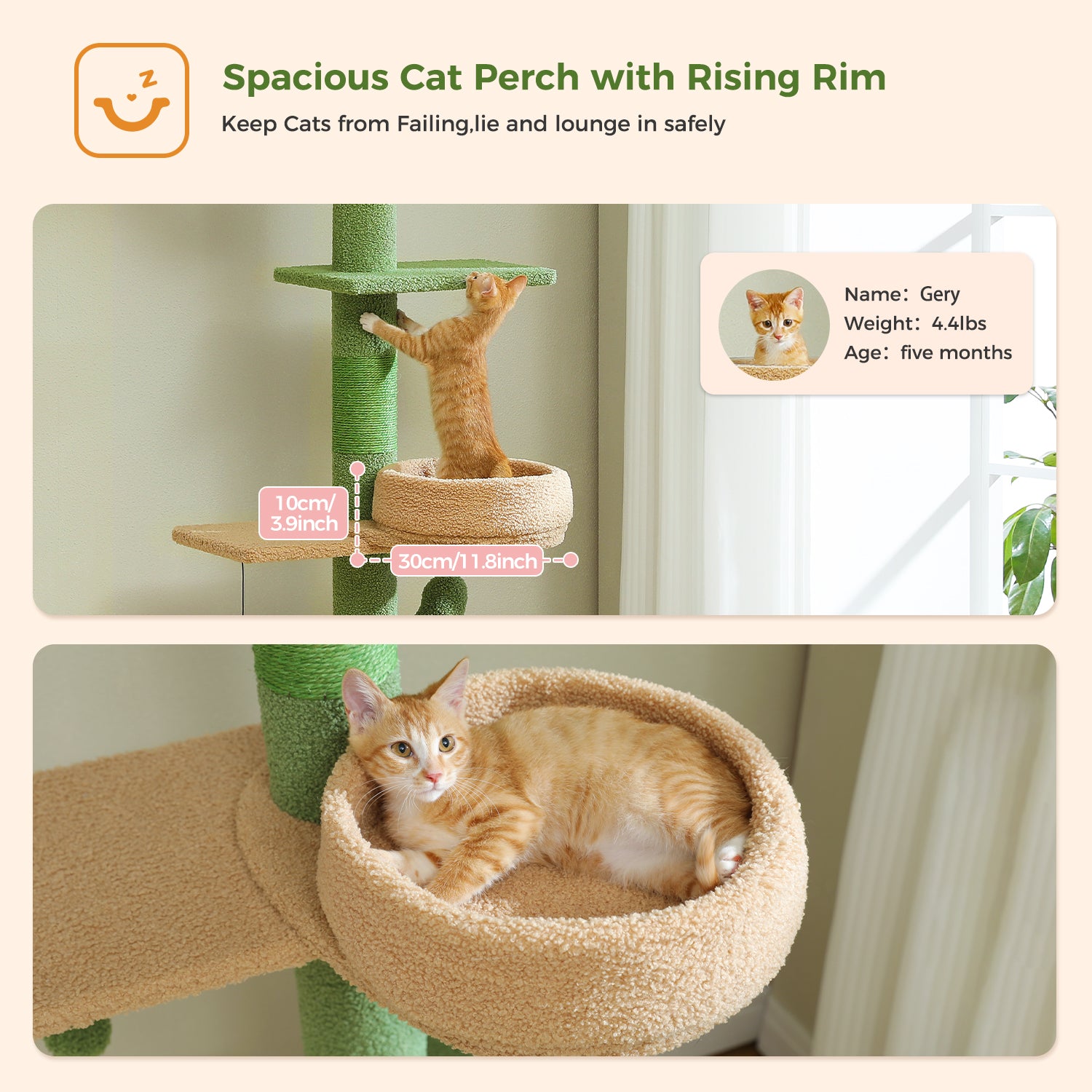 4-Tier Floor to Ceiling Cat Tree with Extra Thick Scratch Post