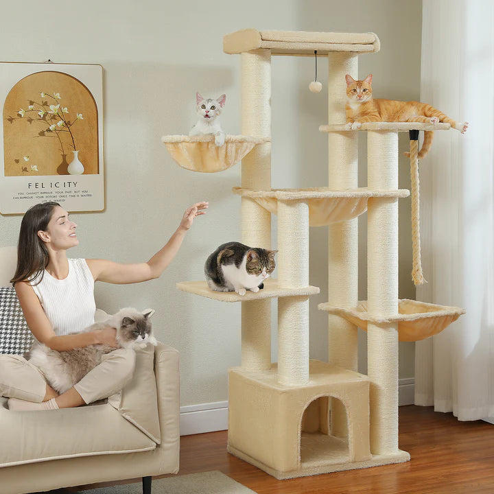 Woman interacting with cats on a multi-level cat tree in a home setting.