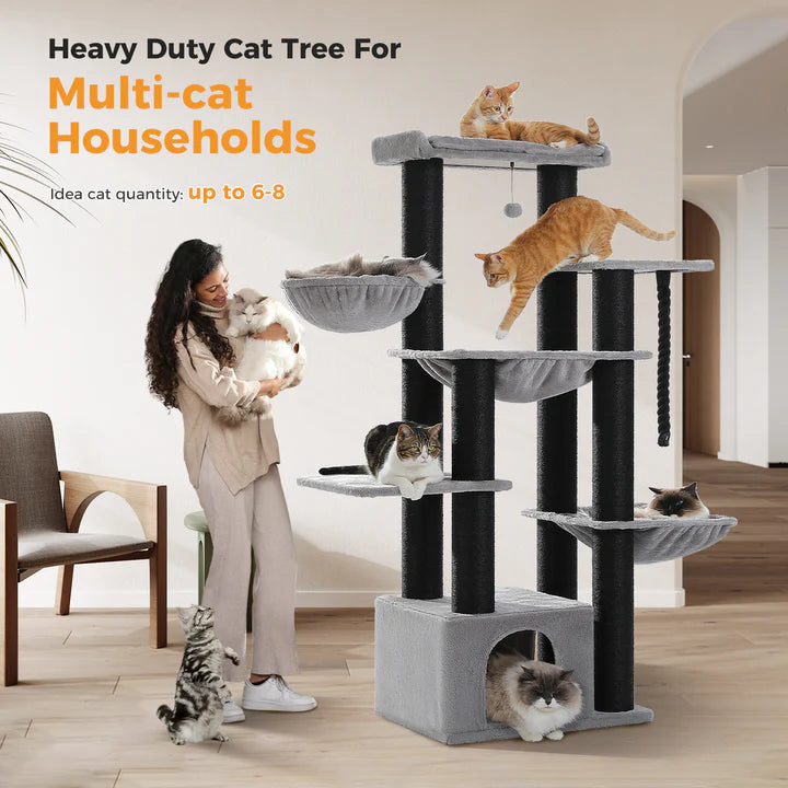 Catopia Co. Canada Heavy-duty cat tree for multi-cat households with multiple cats on shelves, woman holding a large cat. Cat tree for maine coon cats