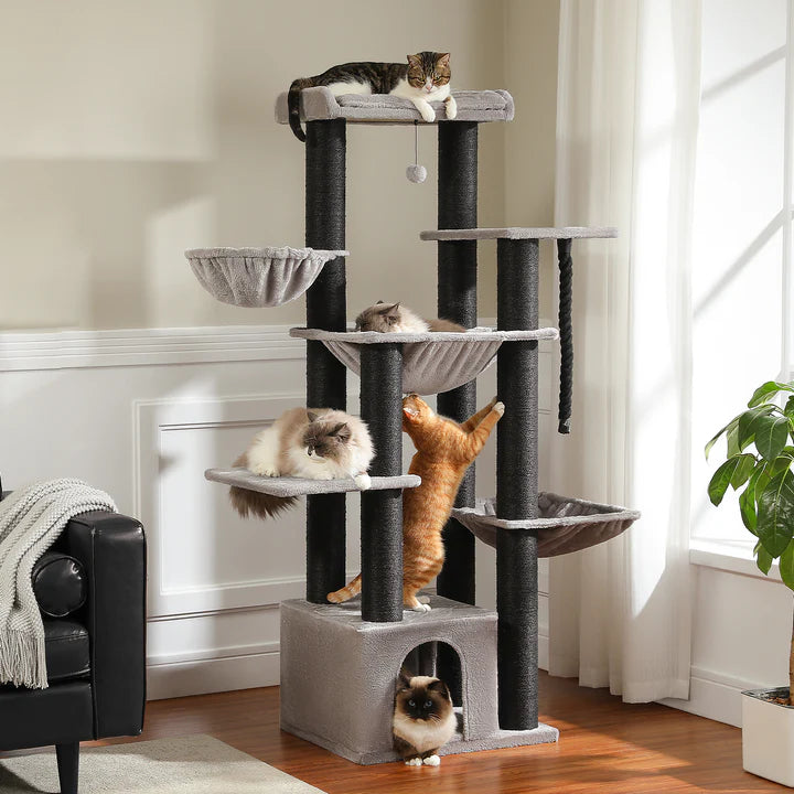 Cat tree with multiple cats on different levels in a room with a window and plant.