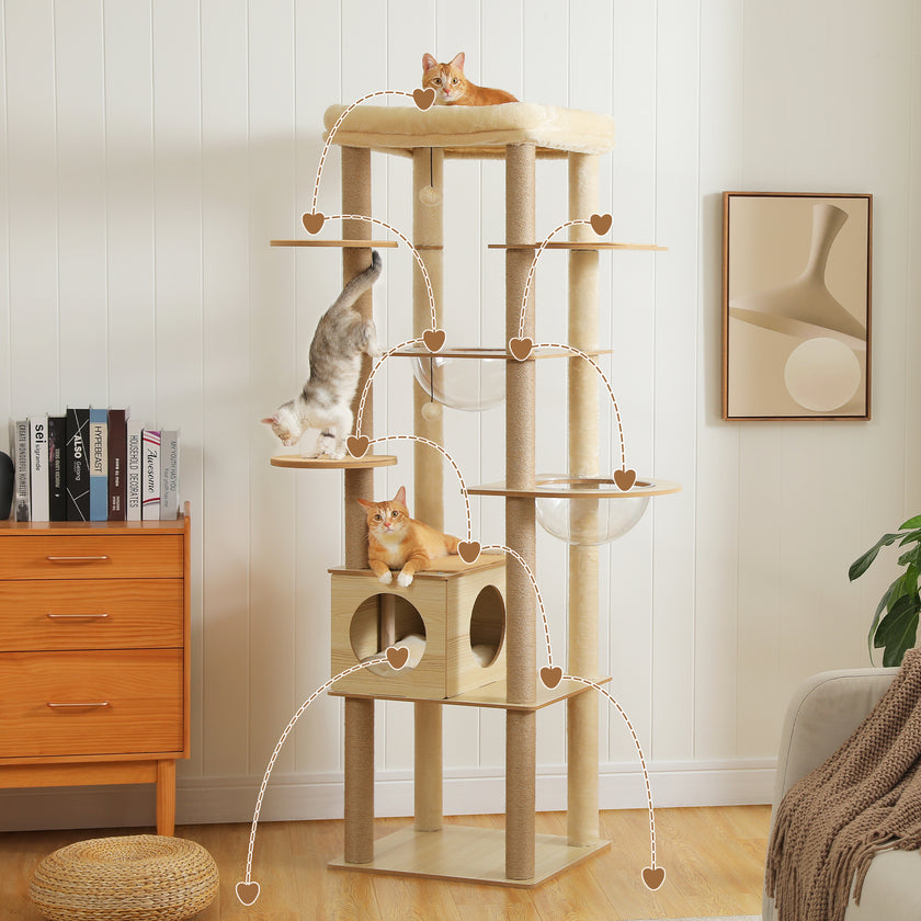 Modern Beige Wooden Cat Tree Tower with Acrylic Bowl & Cozy Top Bed – Luxury Cat Furniture Canada | Catopia Co.
