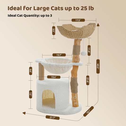 Cat tree with dimensions and text indicating ideal use for large cats up to 25 lb. Catopia Co. Canada cat tree. 