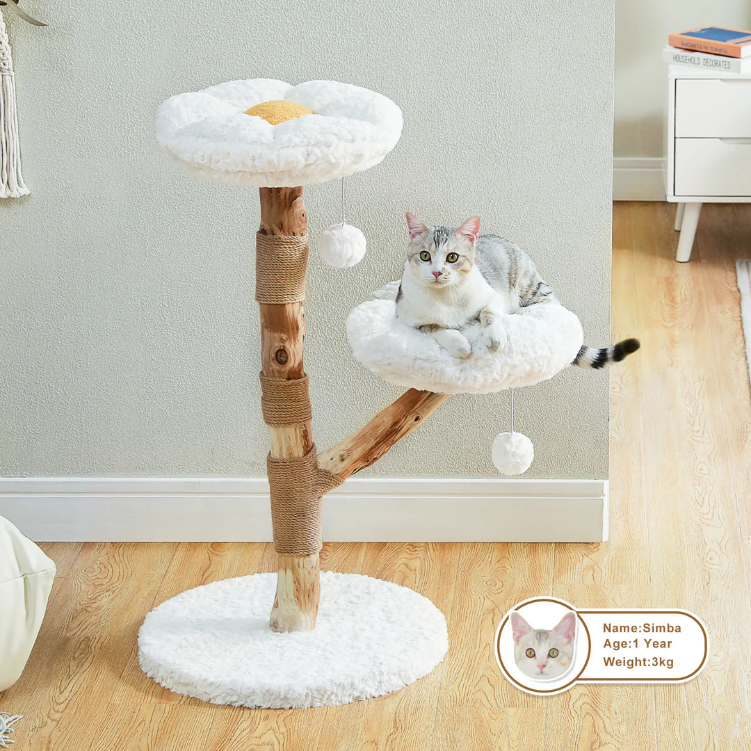 Catopia Co. flower-shaped luxury wooden cat tree, tabby cat resting comfortably on plush perch, ideal stylish cat furniture Canada
