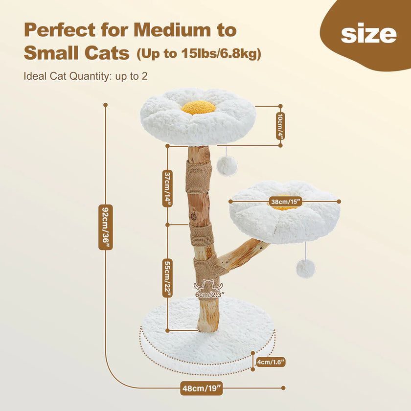 Cat tree with measurements and text indicating suitability for medium to small cats.