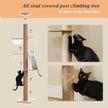 Cat scratching the full-height natural sisal post on a floor-to-ceiling cat tower