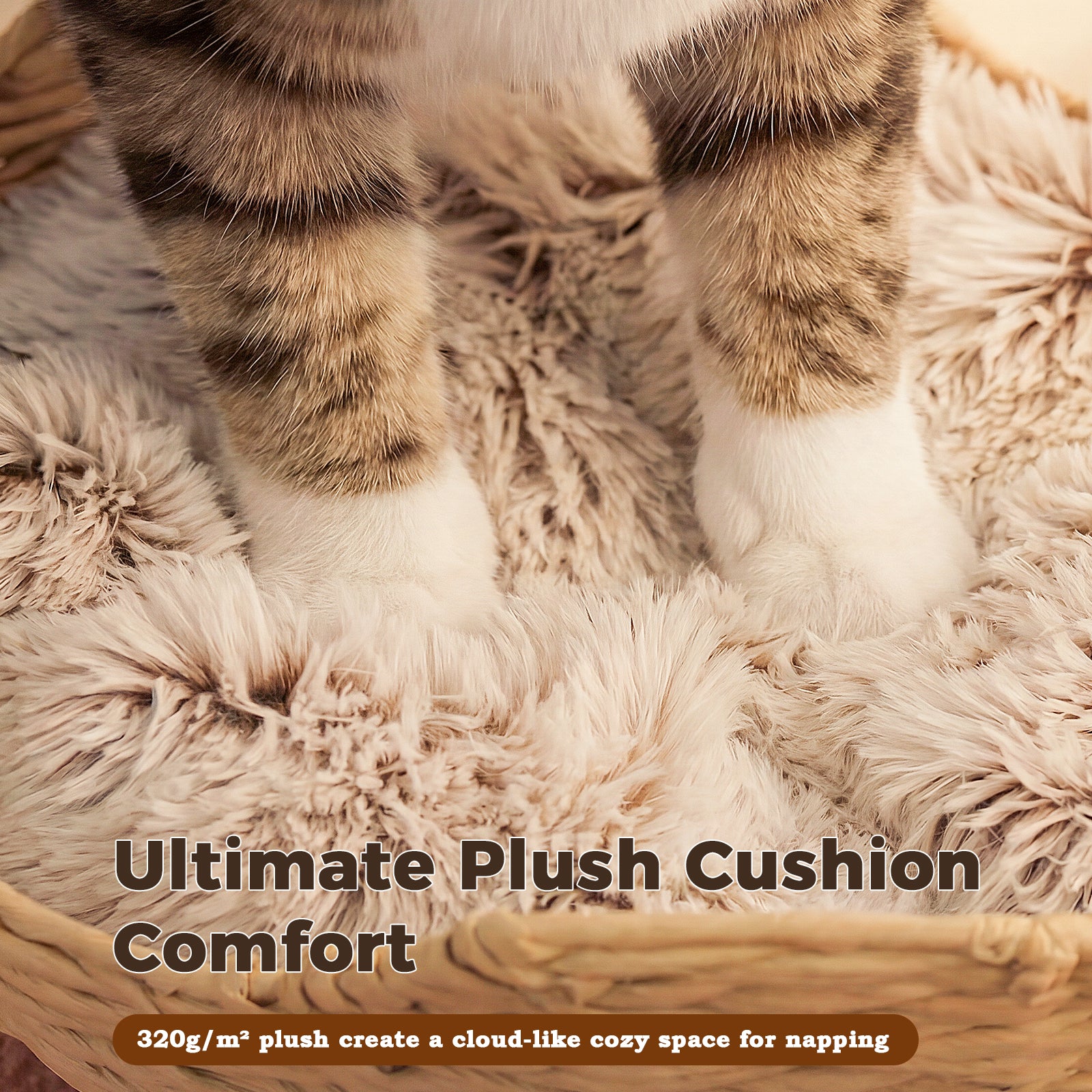 Close-up of a cat standing on a soft thick plush cushion inside a rattan cat basket