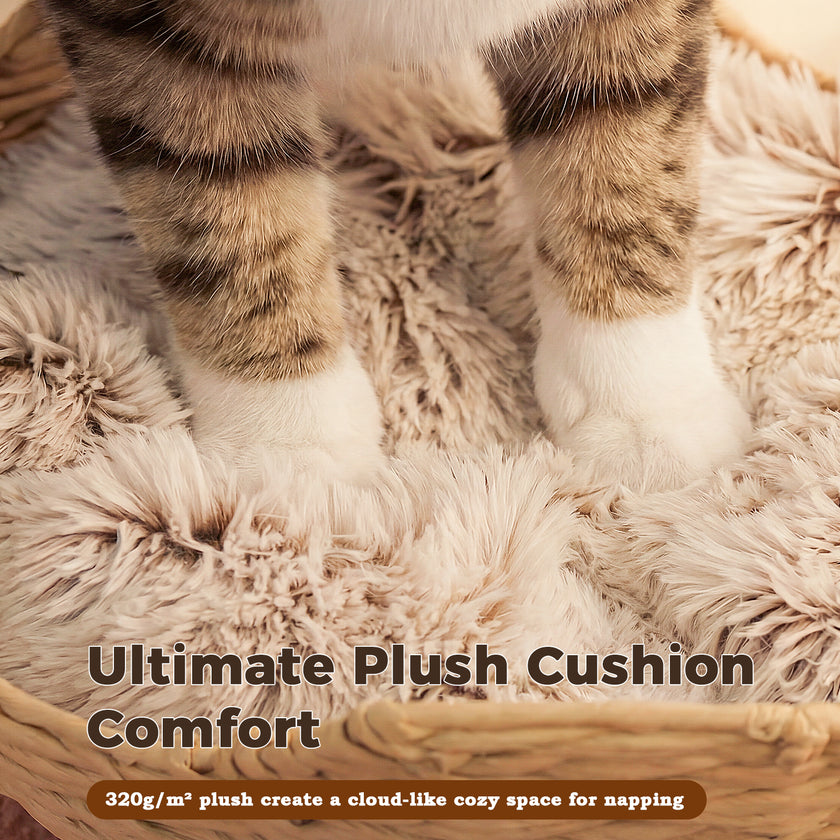 Close-up of a cat standing on a soft thick plush cushion inside a rattan cat basket