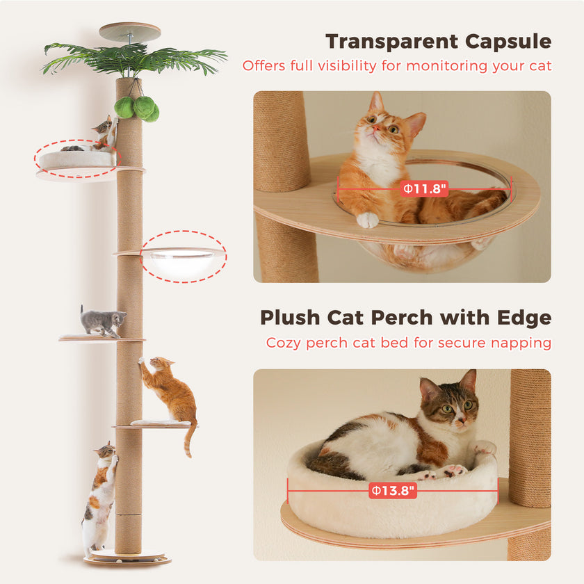 Floor-to-ceiling cat tree with transparent bubble bed and plush round cat perch
