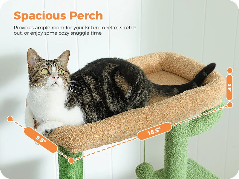 Cat lounging on a green and beige cat tree with text describing its features.