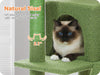 143cm Tall Cactus Cat Tree for Large Cats Adult with Large Top Perch with Plush Hammock - Green