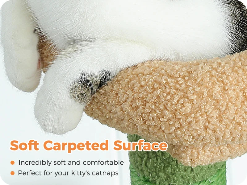 Cat lying on a soft carpeted surface with text highlighting its comfort.