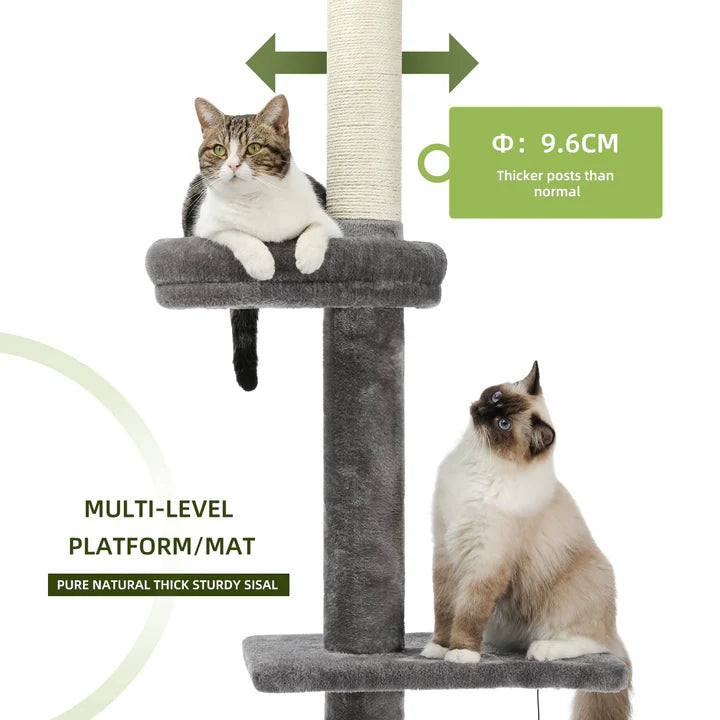 Cat tree with two cats on different levels, featuring a thick sisal post.