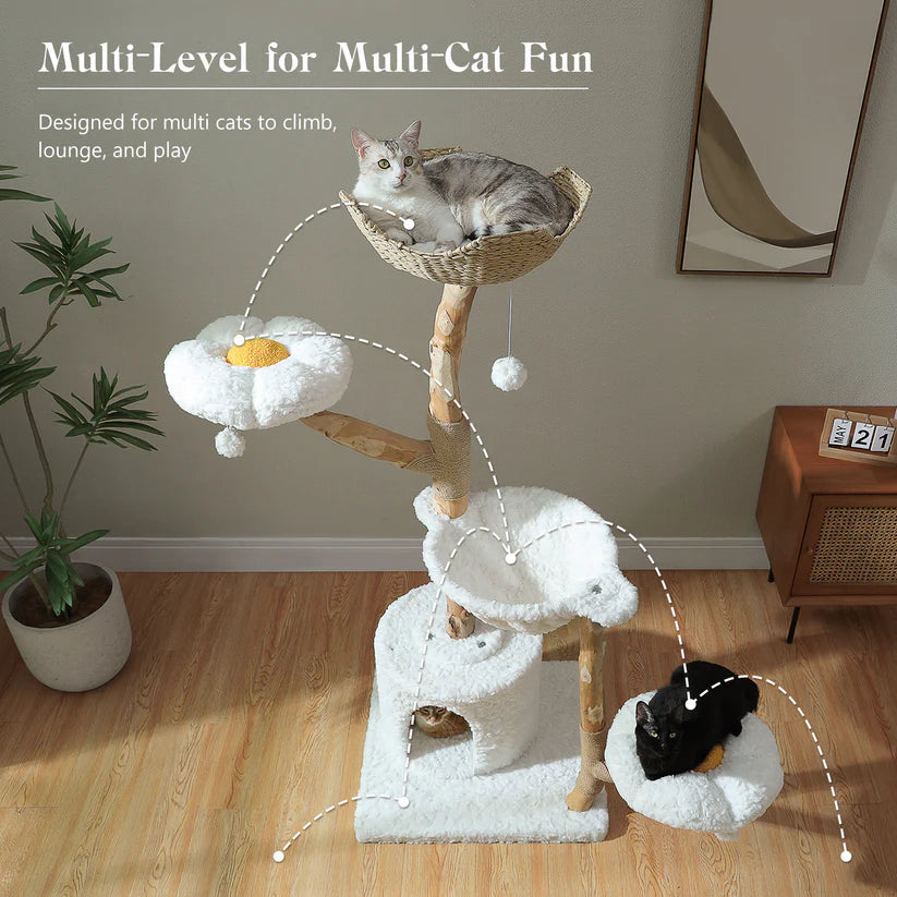 Cat tree with multiple levels for multi-cat fun in a home setting
