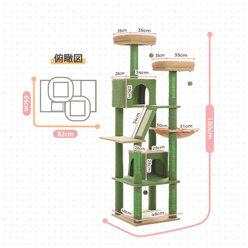 Green cat tree with measurements on a white background