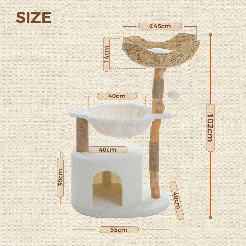 Measurement chart of a cat tree with dimensions on a beige background