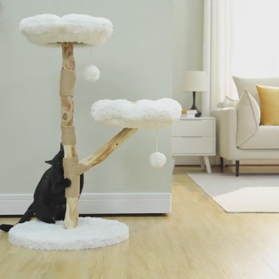 Video by Catopia Co. Canada of cats playing with a cat tree. The cat tree features 2 white flower shaped soft but sturdy platforms. There are 2 pompoms hanging from the platforms. 