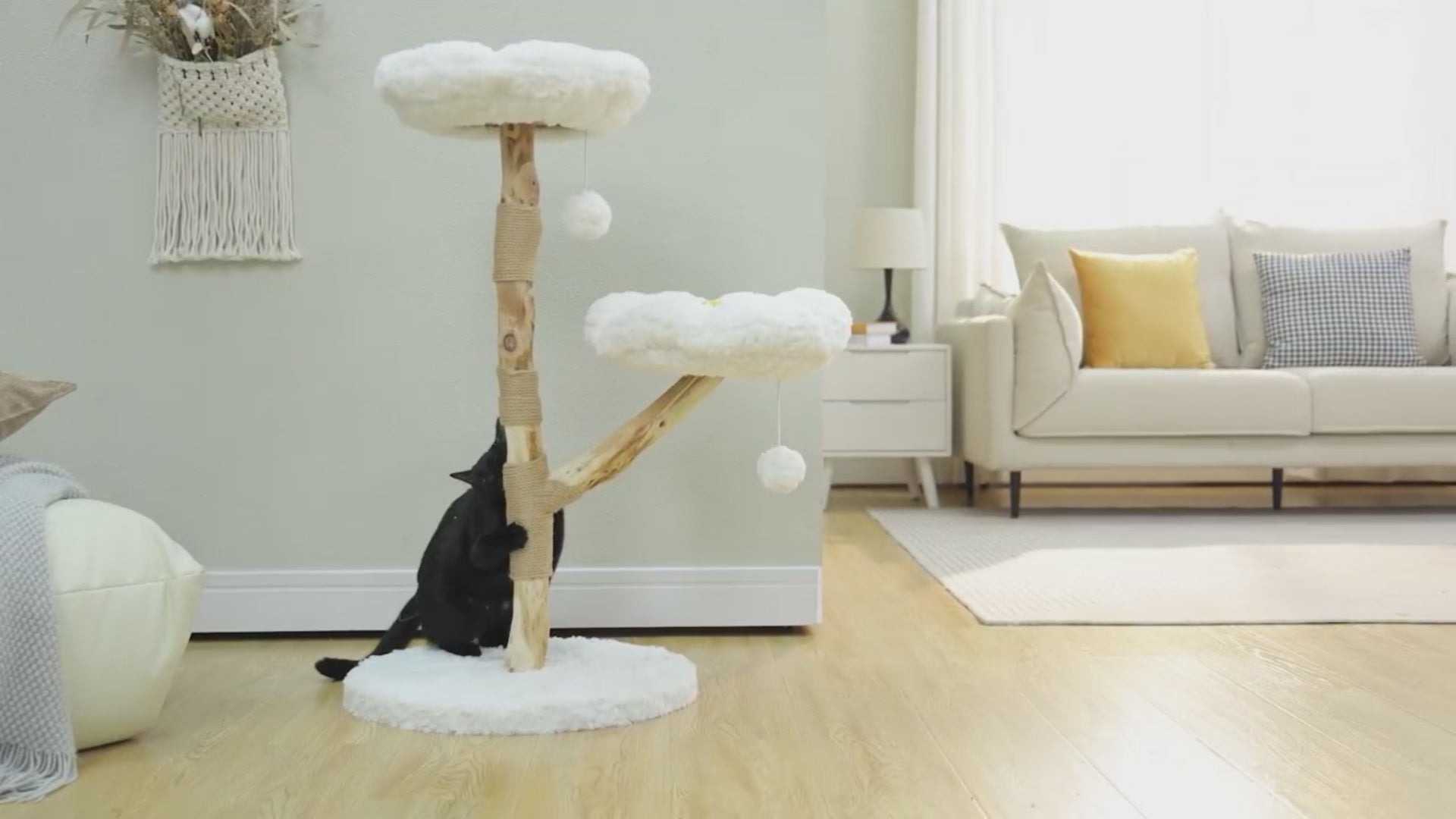 Video by Catopia Co. Canada of cats playing with a cat tree. The cat tree features 2 white flower shaped soft but sturdy platforms. There are 2 pompoms hanging from the platforms. 