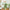 143cm Tall Cactus Cat Tree for Large Cats Adult with Large Top Perch with Plush Hammock - Green